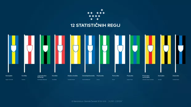 Podoba 12 statističnih regij