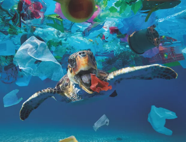Zganil nas je podatek, da bo leta 2050 v morju plavalo več plastike kakor rib