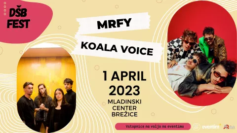 DŠB Fest 2023 | MRFY in Koala Voice