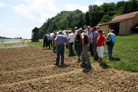 Ekološka ekskurzija na sadjarsko kmetijo Podgrajšek pri Slovenski Bistrici (junij 2010)