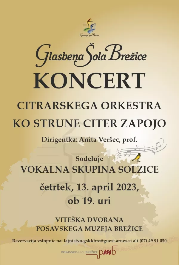 Koncert citrarskega orkestra: Ko strune citer zapojo
