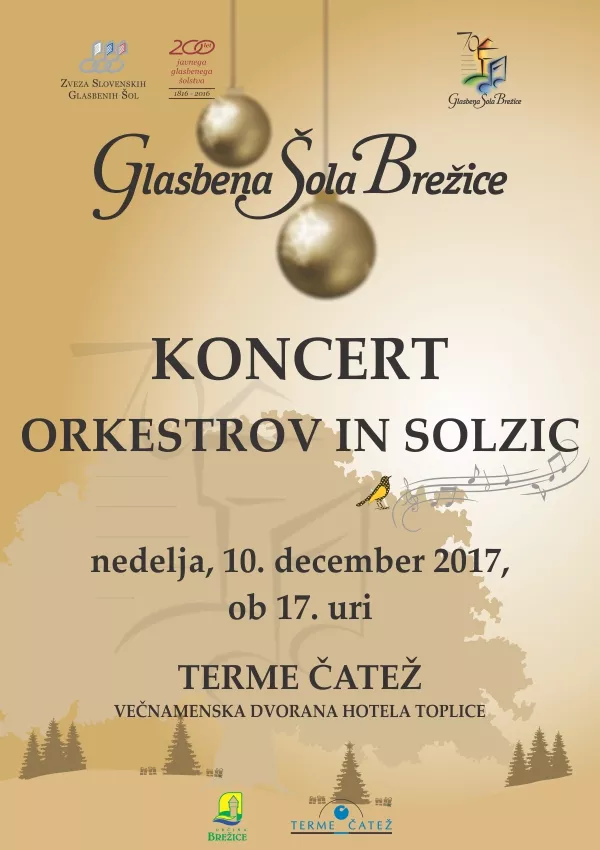 Koncert orkestrov in Solzic