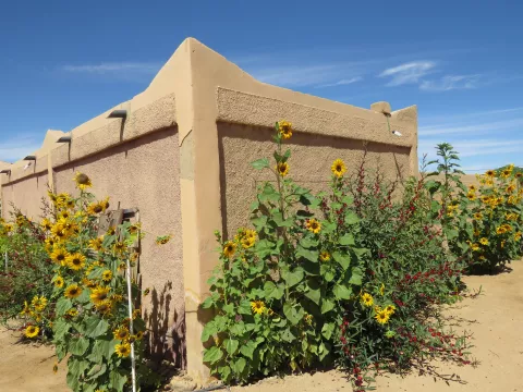 Tuareška šola cveti