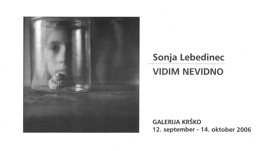 Sonja Lebedinec | VIDIM NEVIDNO