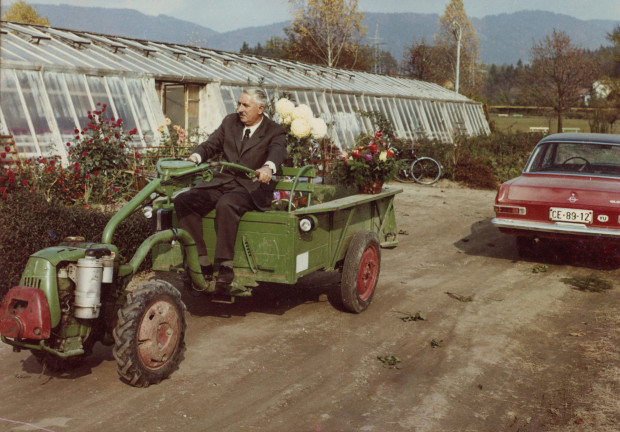 Na današnji dan: France Vardjan (1900–1994), hortikulturnik