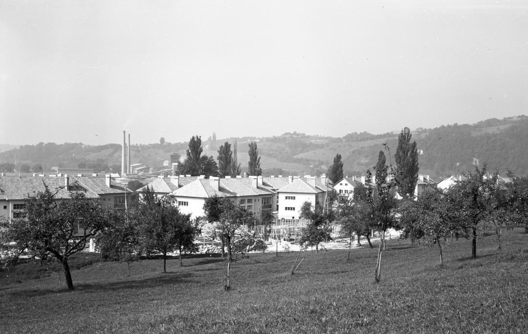 Tovarna celuloze in papirja in mesto Krško