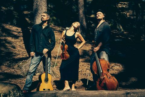 Godalkanje: Wild Strings Trio & Godalkanje Fiddle Gang