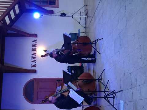 Kvartet kontrabasov Slovenske filharmonije