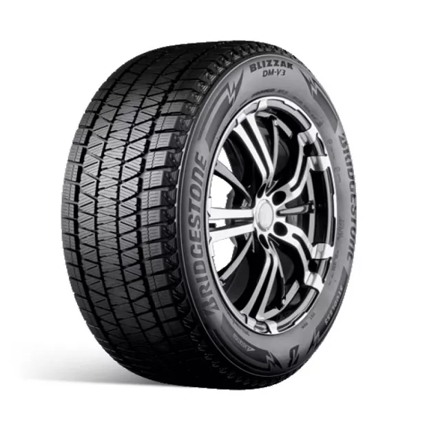 Avtomobilska zimska pnevmatika Bridgestone DM-V3