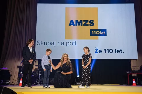 110 let AMZS