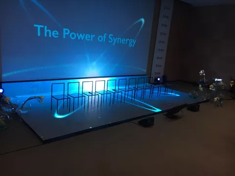 The power of synergy - International Symposium